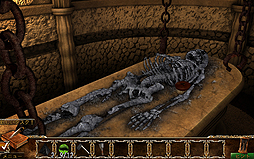 ꡼ No.025Υͥ / PCADV֥ۥ󥸥륺饤פΥ䤬ȡ1286ǯ˥ץ̮νƻǵäλɤ