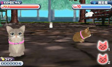 ꡼ No.016 | ֤襤ǭ3Dפ1213ȯ䡣ꥫ󥷥硼ȥإ֥롼ʤɿ͵ǭãλˤʤä嫤򿼤褦