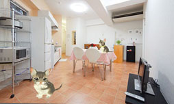 ꡼ No.022 | ֤襤ǭ3Dפ1213ȯ䡣ꥫ󥷥硼ȥإ֥롼ʤɿ͵ǭãλˤʤä嫤򿼤褦