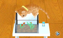 ꡼ No.033 | ֤襤ǭ3Dפ1213ȯ䡣ꥫ󥷥硼ȥإ֥롼ʤɿ͵ǭãλˤʤä嫤򿼤褦