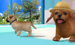 ꡼ No.001 | ֥Ǥ襤 Ҹͷܡ--פ1220ȯ䡣ڥåȤΰ򤷤Ĥġ¼̱ΰ򥯥ꥢ¼ȯŸܻؤ