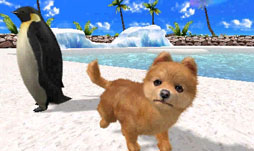 ꡼ No.002 | ֥Ǥ襤 Ҹͷܡ--פ1220ȯ䡣ڥåȤΰ򤷤Ĥġ¼̱ΰ򥯥ꥢ¼ȯŸܻؤ