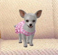 ꡼ No.003 | ֥Ǥ襤 Ҹͷܡ--פ1220ȯ䡣ڥåȤΰ򤷤Ĥġ¼̱ΰ򥯥ꥢ¼ȯŸܻؤ