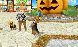 ꡼ No.004 | ֥Ǥ襤 Ҹͷܡ--פ1220ȯ䡣ڥåȤΰ򤷤Ĥġ¼̱ΰ򥯥ꥢ¼ȯŸܻؤ