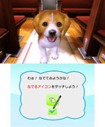 ꡼ No.006 | ֥Ǥ襤 Ҹͷܡ--פ1220ȯ䡣ڥåȤΰ򤷤Ĥġ¼̱ΰ򥯥ꥢ¼ȯŸܻؤ