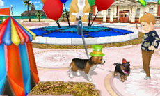 ꡼ No.009 | ֥Ǥ襤 Ҹͷܡ--פ1220ȯ䡣ڥåȤΰ򤷤Ĥġ¼̱ΰ򥯥ꥢ¼ȯŸܻؤ