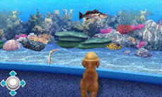 ꡼ No.010 | ֥Ǥ襤 Ҹͷܡ--פ1220ȯ䡣ڥåȤΰ򤷤Ĥġ¼̱ΰ򥯥ꥢ¼ȯŸܻؤ