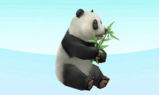 ꡼ No.014 | ֥Ǥ襤 Ҹͷܡ--פ1220ȯ䡣ڥåȤΰ򤷤Ĥġ¼̱ΰ򥯥ꥢ¼ȯŸܻؤ