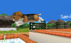 ꡼ No.015 | ֥Ǥ襤 Ҹͷܡ--פ1220ȯ䡣ڥåȤΰ򤷤Ĥġ¼̱ΰ򥯥ꥢ¼ȯŸܻؤ