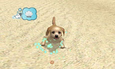 ꡼ No.016 | ֥Ǥ襤 Ҹͷܡ--פ1220ȯ䡣ڥåȤΰ򤷤Ĥġ¼̱ΰ򥯥ꥢ¼ȯŸܻؤ