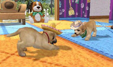 ꡼ No.018 | ֥Ǥ襤 Ҹͷܡ--פ1220ȯ䡣ڥåȤΰ򤷤Ĥġ¼̱ΰ򥯥ꥢ¼ȯŸܻؤ