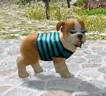 ꡼ No.020 | ֥Ǥ襤 Ҹͷܡ--פ1220ȯ䡣ڥåȤΰ򤷤Ĥġ¼̱ΰ򥯥ꥢ¼ȯŸܻؤ