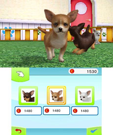 ꡼ No.021 | ֥Ǥ襤 Ҹͷܡ--פ1220ȯ䡣ڥåȤΰ򤷤Ĥġ¼̱ΰ򥯥ꥢ¼ȯŸܻؤ