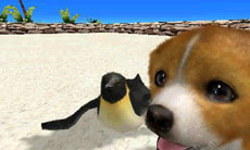 ꡼ No.022 | ֥Ǥ襤 Ҹͷܡ--פ1220ȯ䡣ڥåȤΰ򤷤Ĥġ¼̱ΰ򥯥ꥢ¼ȯŸܻؤ