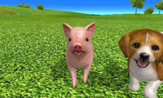 ꡼ No.023 | ֥Ǥ襤 Ҹͷܡ--פ1220ȯ䡣ڥåȤΰ򤷤Ĥġ¼̱ΰ򥯥ꥢ¼ȯŸܻؤ