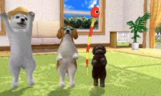 ꡼ No.028 | ֥Ǥ襤 Ҹͷܡ--פ1220ȯ䡣ڥåȤΰ򤷤Ĥġ¼̱ΰ򥯥ꥢ¼ȯŸܻؤ