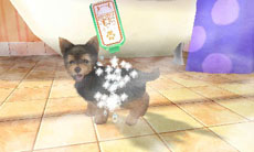 ꡼ No.029 | ֥Ǥ襤 Ҹͷܡ--פ1220ȯ䡣ڥåȤΰ򤷤Ĥġ¼̱ΰ򥯥ꥢ¼ȯŸܻؤ