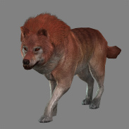 ꡼ No.033 | ֿԢ̵7סϤʡ־糧åȡפʤɤDLCۿ