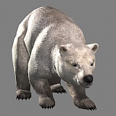 ꡼ No.019 | ֿԢ̵7״ϥơޡ֥ȥפפξʤɤۿ