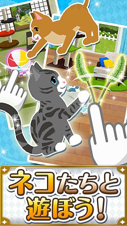 ソリティにゃスイーパー!