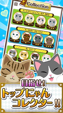 ソリティにゃスイーパー!