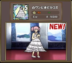 ꡼ No.023Υͥ / ֥ɱġץ˥ַ ˡޤɤޥ[]դʪפΥܤ賫