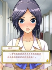 ꡼ No.009 | Сɡ֥ߤ칻򤹤פGREEۿ