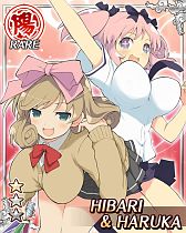 ���������꡼ No.005�Υ���ͥ������ / �����𥫥��� NewWave�ס�PvP���ʰ���פǸ���������ɥ����ɤ����ꤷ�褦