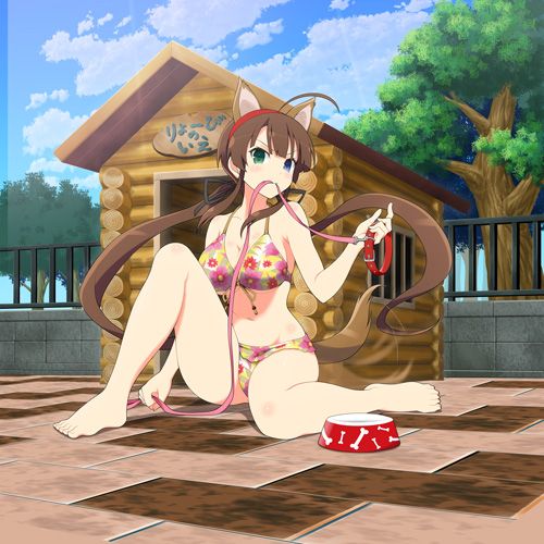 画像ギャラリー No.002のサムネイル画像 / 「閃乱カグラ NewWave」,水着姿の“けも耳爆乳”少女カードを手に入れよう