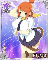 画像ギャラリー No.008のサムネイル画像 / 「閃乱カグラ NewWave」,水着姿の“けも耳爆乳”少女カードを手に入れよう