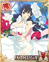 画像ギャラリー No.010のサムネイル画像 / 「閃乱カグラ NewWave Gバースト」が「一騎当千バーストファイト」とコラボ中