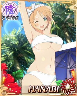 画像ギャラリー No.001のサムネイル画像 / 「閃乱カグラ NewWave Gバースト」忍だらけのサマーリゾートを実施