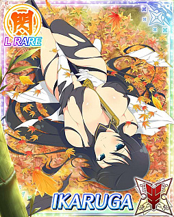 ���������꡼ No.005�Υ���ͥ������ / �����𥫥��� NewWave G�С����ȡס����٥�ȡַ�Ʈ��Ǧž�ȡפ�����