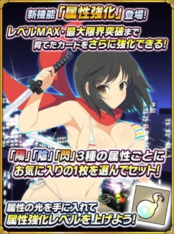 ���������꡼ No.003�Υ���ͥ������ / �����𥫥��� NW G�С����ȡץӡ���������Υ��٥�Ȥ����롣�󽷤�LR�λ͵�