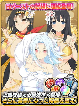 ꡼ No.008 | 𥫥 NewWave GСȡפǺ100ΥɤѤ磻٥Ȥ