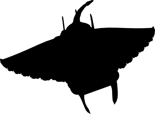 ꡼ No.006 | ꥹԥåġ׿쥸ɥơֿ̩ϡפ1117ΥС󥢥åפɲ