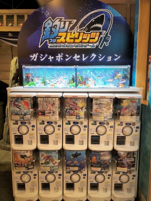 画像ギャラリー No.007のサムネイル画像 / 「釣りスピリッツ」でイベント“ズカズカズカーン!大作戦”が9月16日よりナンジャタウンで開催