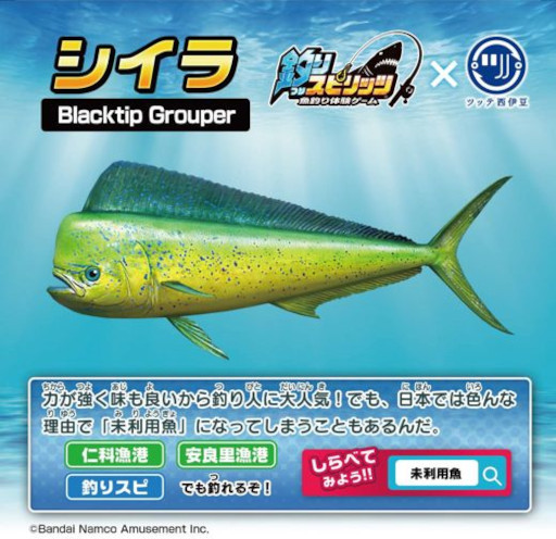 ꡼ No.010 | ꥹԥåġס֥ĥåƦפȥܤȿƻץɤ󶡤򳫻