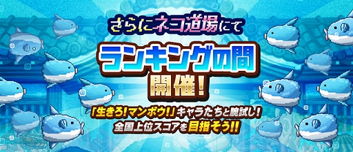 画像ギャラリー No.004のサムネイル画像 / 「にゃんこ大戦争」が「生きろ!マンボウ!」とのコラボを実施。過去のコラボステージもリニューアルして登場