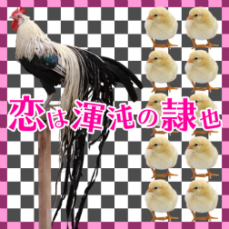 ���������꡼ No.012�Υ���ͥ������ / ��GROOVE COASTER ZERO�ס�70��DLã����ǰ�����ڡ���򳫻�