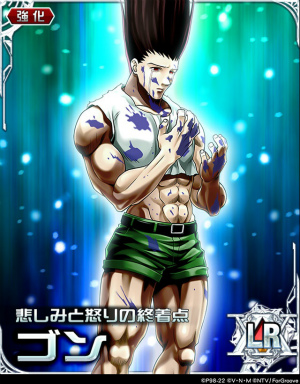 ꡼ No.001Υͥ / HUNTERHUNTER Хȥ륳쥯ס8ᤷߤοʥ~ĥܥߥȡߥĥܥ~򳫺