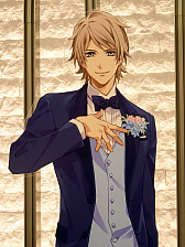 ꡼ No.029 | ȷ뺧ʬ̣廊̴Υܥ٥ȡ֤Ȥ᤭쥹ȥߥޥꥢ TOKYO&#x2764;Weddingץݡ