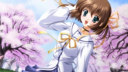 ꡼ No.002 | D.C.III Plus III ץ饹׸ǤƱܥCDγפ䡤ӥʡѥåΥ㥱åȳʤɤ