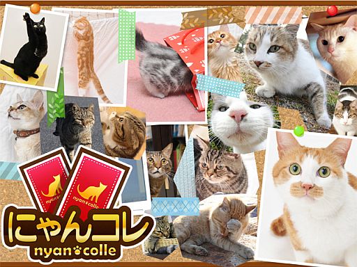 ���������꡼ No.001�Υ���ͥ������ / �֤ˤ�󥳥�פ�GREE���ۿ����ץ������Ƥ����¼̤���ǭ�����ɤ�160��ʾ�