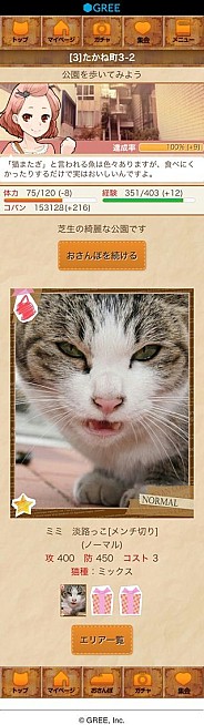 ���������꡼ No.004�Υ���ͥ������ / �֤ˤ�󥳥�פ�GREE���ۿ����ץ������Ƥ����¼̤���ǭ�����ɤ�160��ʾ�