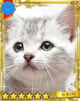 ���������꡼ No.006�Υ���ͥ������ / �֤ˤ�󥳥�פ�GREE���ۿ����ץ������Ƥ����¼̤���ǭ�����ɤ�160��ʾ�