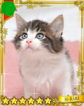 ���������꡼ No.008�Υ���ͥ������ / �֤ˤ�󥳥�פ�GREE���ۿ����ץ������Ƥ����¼̤���ǭ�����ɤ�160��ʾ�