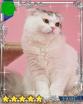 ���������꡼ No.010�Υ���ͥ������ / �֤ˤ�󥳥�פ�GREE���ۿ����ץ������Ƥ����¼̤���ǭ�����ɤ�160��ʾ�