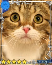 ���������꡼ No.011�Υ���ͥ������ / �֤ˤ�󥳥�פ�GREE���ۿ����ץ������Ƥ����¼̤���ǭ�����ɤ�160��ʾ�