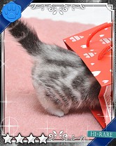 ���������꡼ No.012�Υ���ͥ������ / �֤ˤ�󥳥�פ�GREE���ۿ����ץ������Ƥ����¼̤���ǭ�����ɤ�160��ʾ�